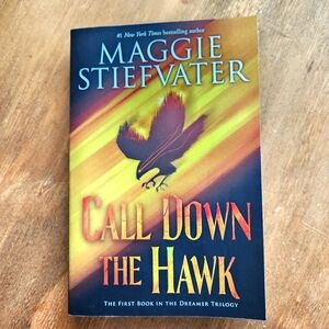 Call Down the Hawk YA young adult book by Maggie Stiefvater